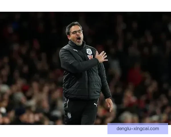 哈德斯菲尔德最新赛程安排及未来比赛时间一览表